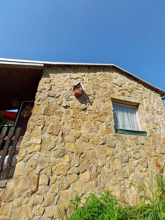 Bild 3 Kleingarten 520m² im Süden von Apolda