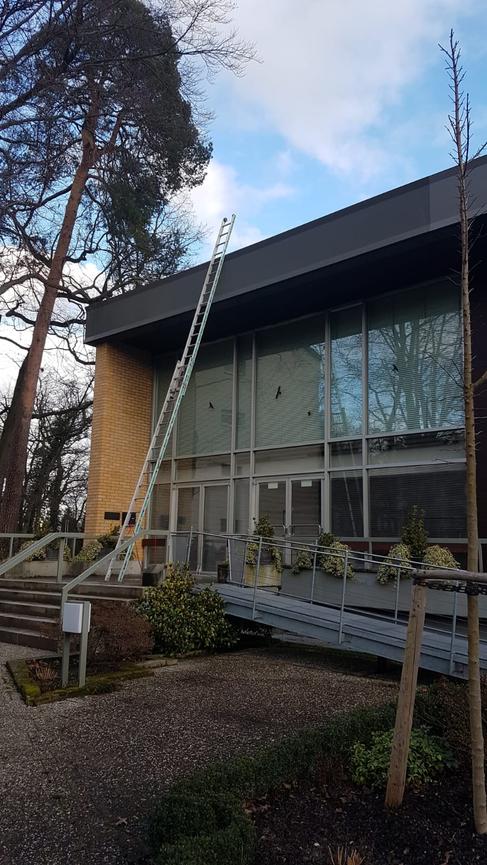 Bild 1 Biete an Dienstleistungen und kleine Reparatur arbeiten sowie grünpflege