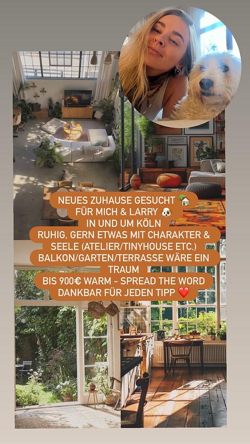 Bild 1 Flugbegleiterin sucht langfristiges Zuhause