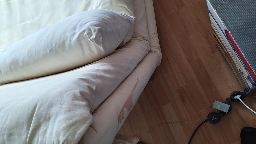 Bild 3 Ligne rose-Schlafsofa weiß