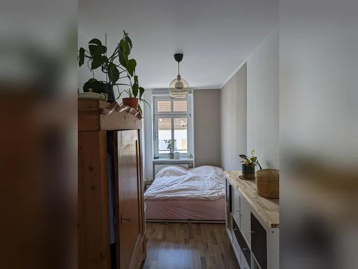 Bild 5 House-& Petsitting in Leipzig gesucht
