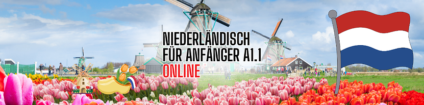 Bild 1 Niederländisch für Anfänger*innen A1.1 - Live aus den Niederlanden