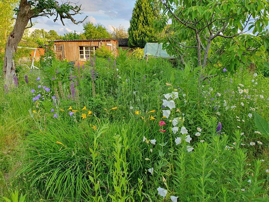 Bild 1 Kleingarten beim Stünzer Park