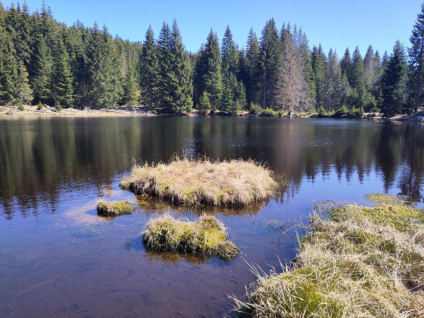 Bild 9 Mit Naturerlebniswanderungen neue Kräfte finden ...