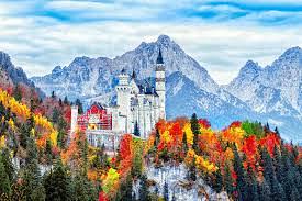 Bild 1 German class online