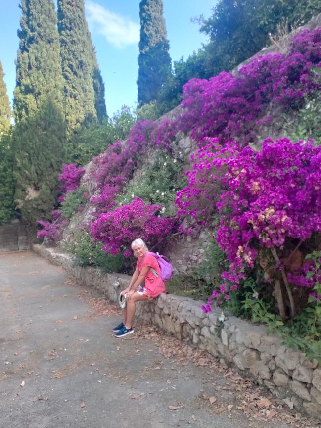 Bild 5 Wandern zur Mandelblüte auf Mallorca für Frauen