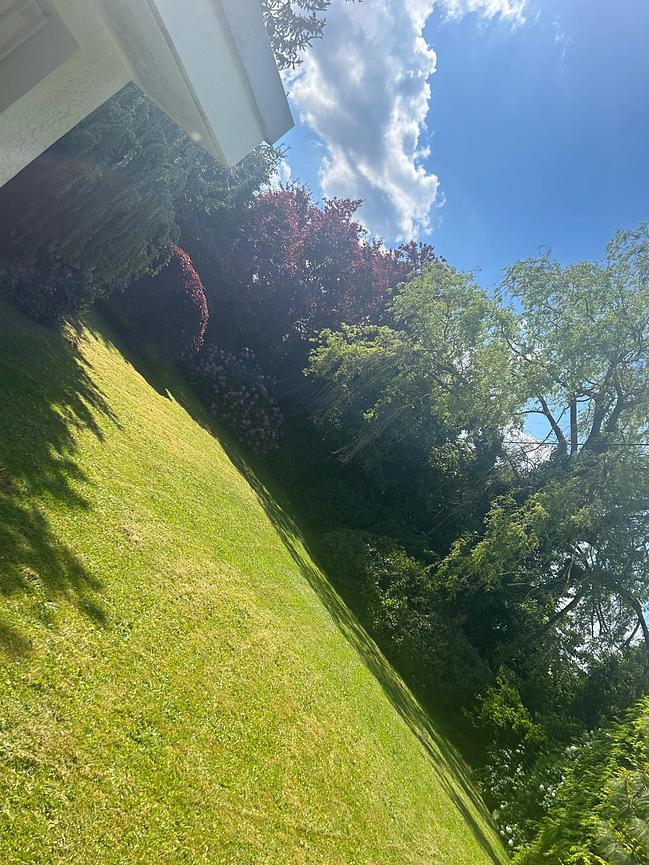 Bild 1 Baugrundstück Voll erschlossen in Montabaur