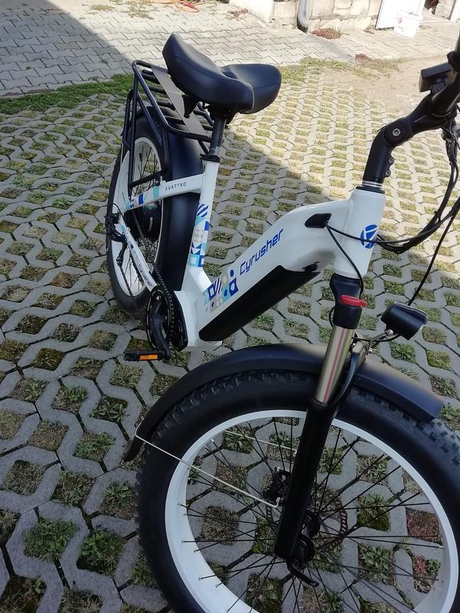 Bild 1 Ebike/Fatbike, sehr wenig genutzt