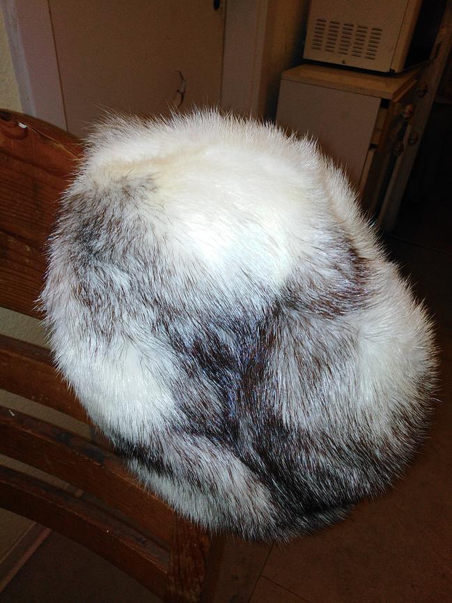 Bild 3 Verschiedene Pelzsachen
