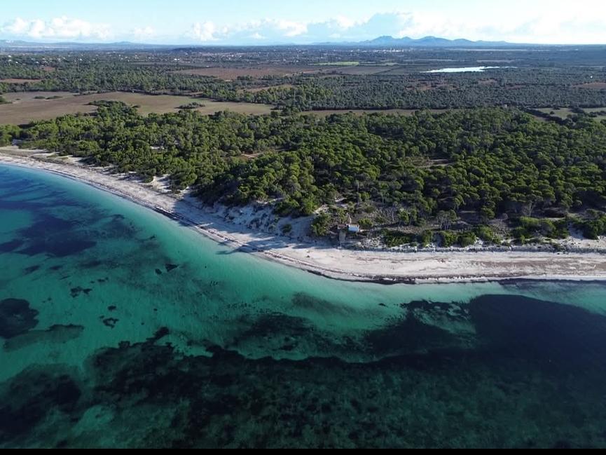 Bild 3 Urlaub auf Mallorca, aber nicht Allein?