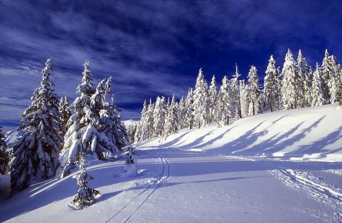 Bild 1 Ferienlager Betreuer in einem Wintercamp