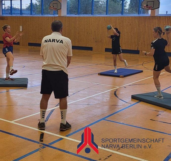 Bild 1 Handballspielerinnen gesucht