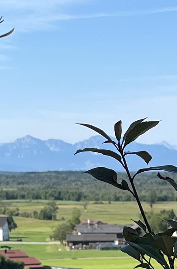 Bild 16 Luxuriöse vollmöblierte Penthouse-Wohnung,Panoramablick auf die Salzburger Berge