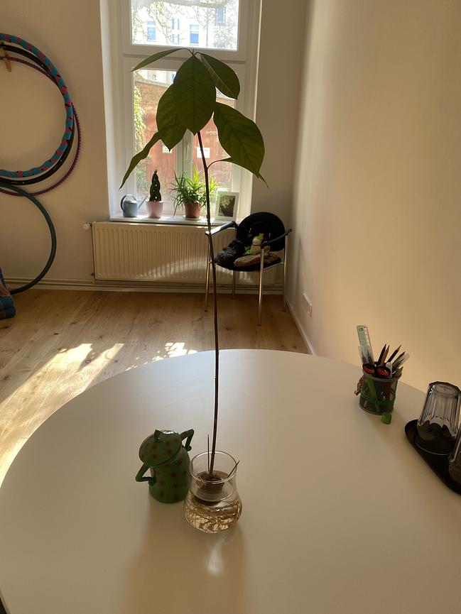 Bild 6 LRS und RS - Privatfinanzierte Lerntherapie in Berlin Pankow