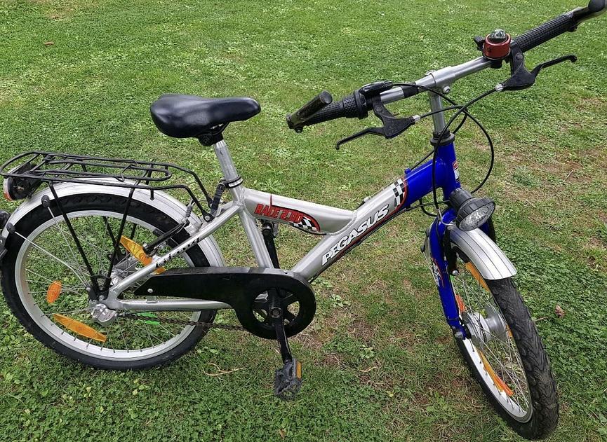 Bild 2 Zu verschenken : Kinderfahrrad 20 Zoll von Pegasus