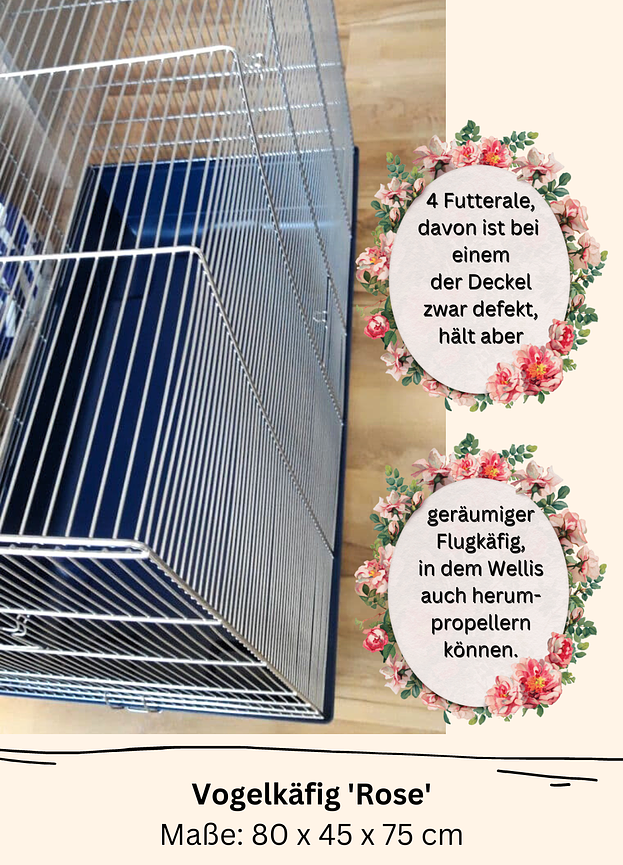 Bild 4 VOGELBAUER 'Rose' abzugeben, sehr geräumig