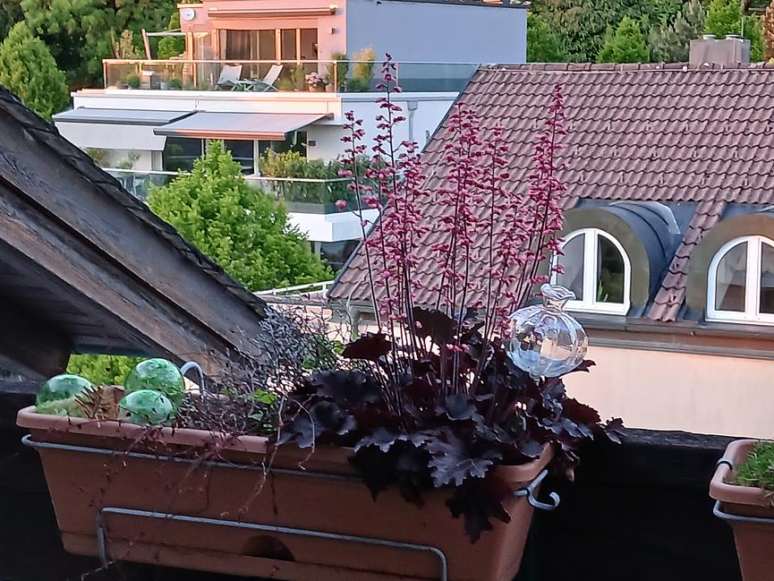 Bild 5 Suche Nachmieter für barrierefreie Garconiere