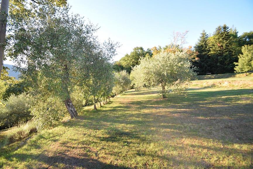 Bild 2 Anwesen nördl. Toscana m. Olivenhain f. Aussteiger, Selbstversorger, Jäger etc.