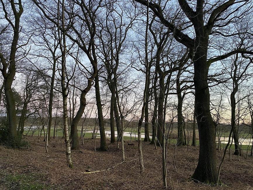 Bild 45 WER ERHOLUNG IN DER NATUR SUCHT, IST HIER GENAU RICHTIG