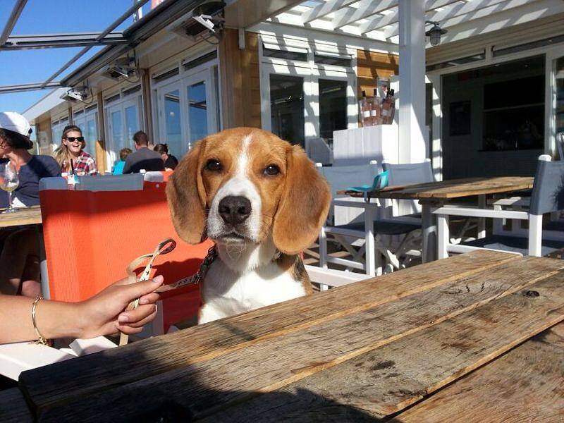 Bild 11 4P. Feha zum mieten, Zeeland, Niederlande, sehr strandnah