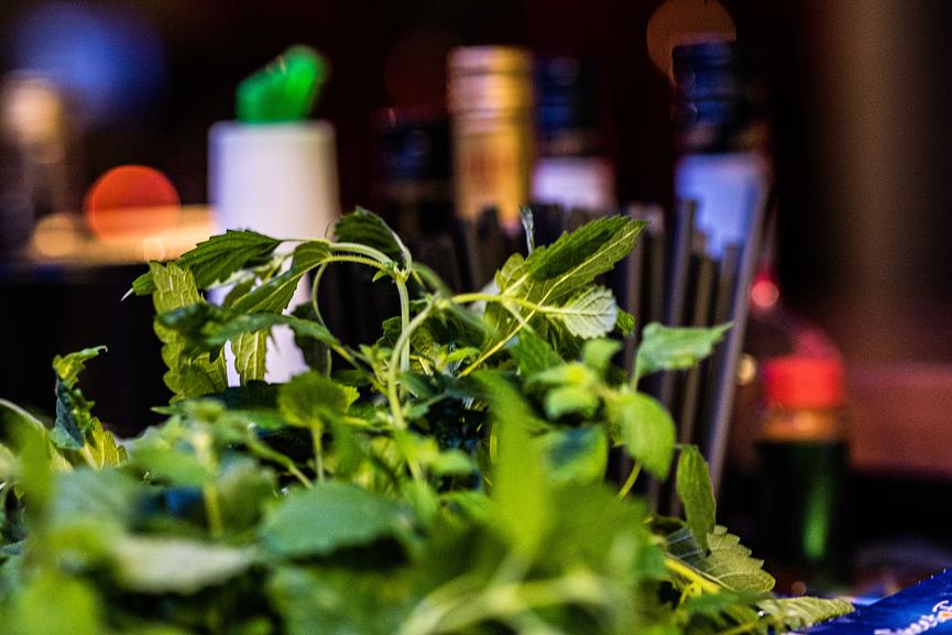 Bild 2 Jolys Live Music Bar sucht Hilfe im Service!