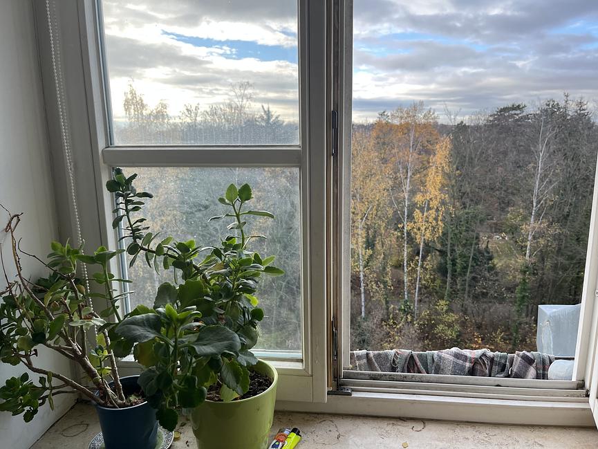 Bild 15 Zwei Raum Wohnung in Kleinzschocher zur Zwischenmiete