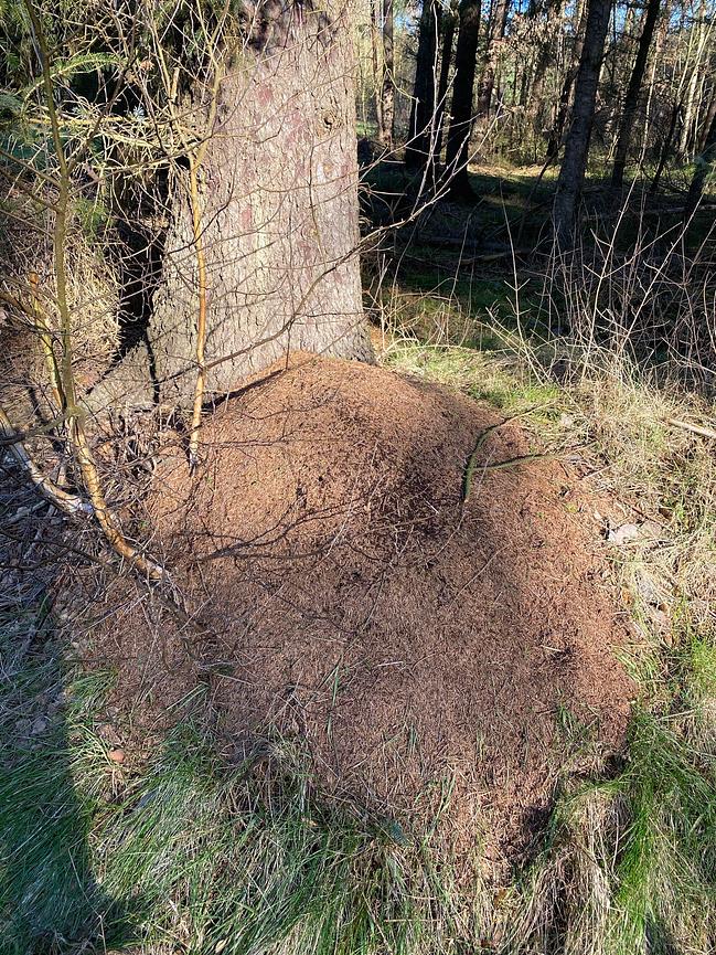 Bild 60 WER ERHOLUNG IN DER NATUR SUCHT, IST HIER GENAU RICHTIG