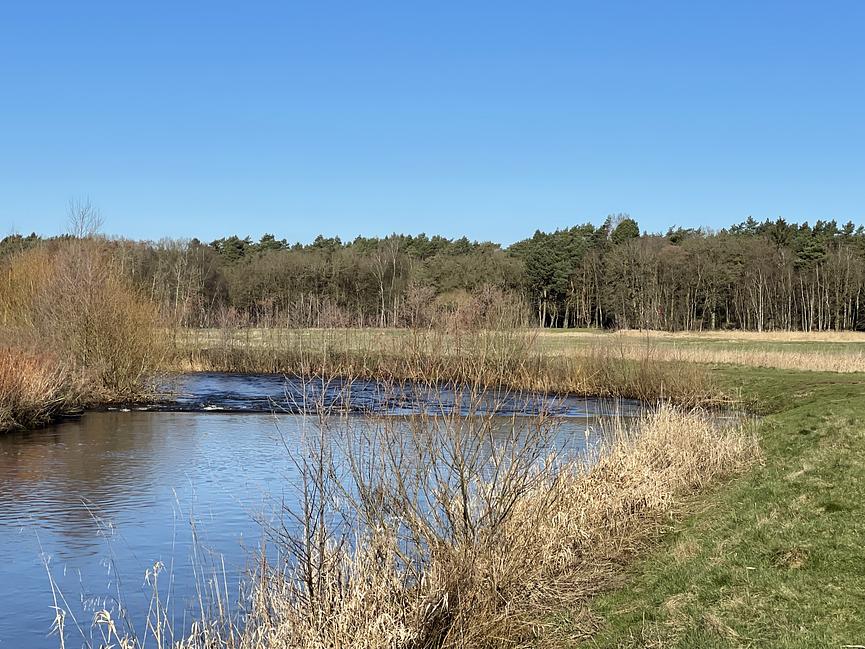 Bild 40 WER ERHOLUNG IN DER NATUR SUCHT, IST HIER GENAU RICHTIG