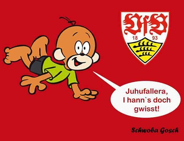 Bild 11 Sprüche kostenlos