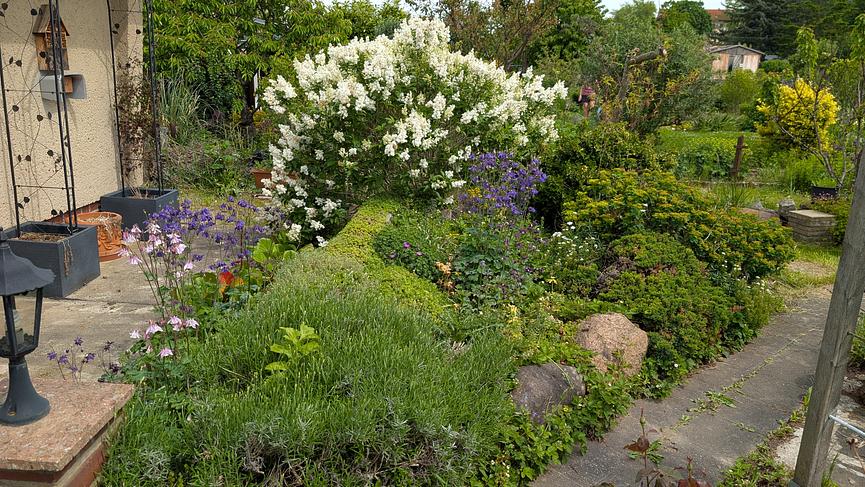 Bild 6 Garten in Leipzig-Möckern mit eigenem Brunnen