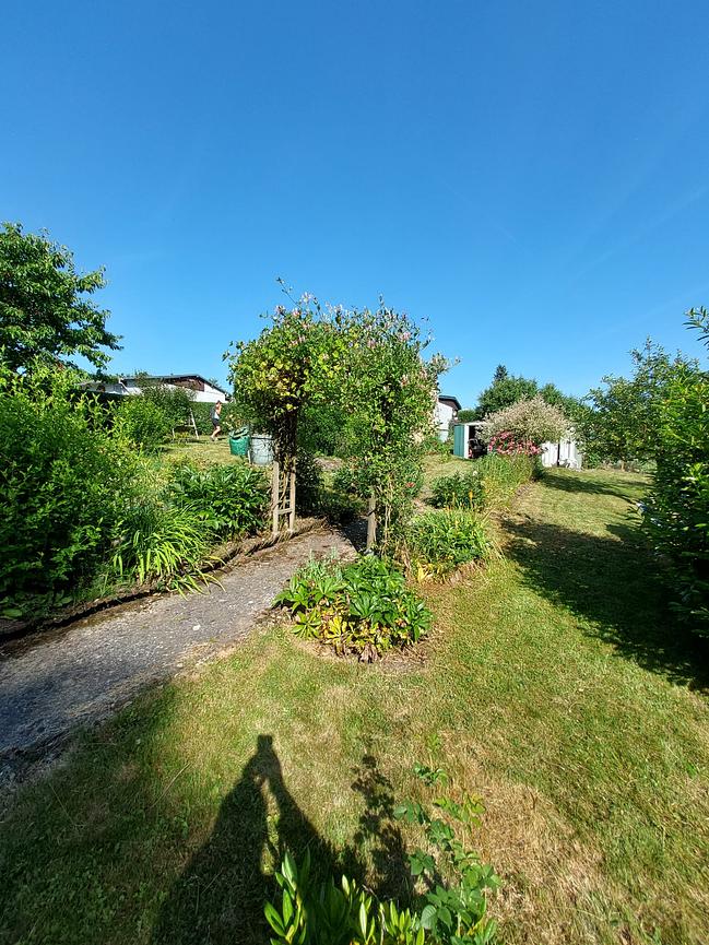 Bild 12 Kleingarten 520m² im Süden von Apolda