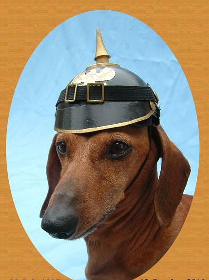 Bild 1 Ich suche Orden und Militaria