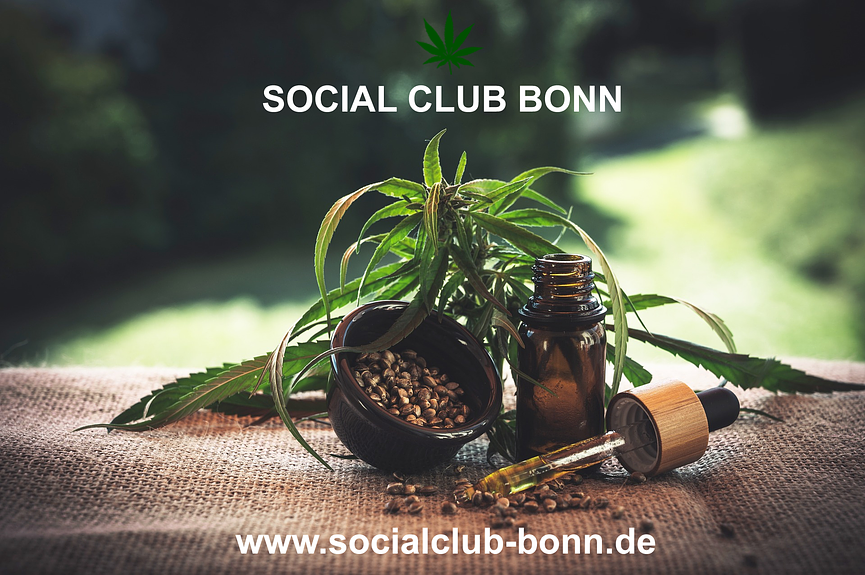 Bild 1 Gründung eines Cannabis Socialclub Bonn