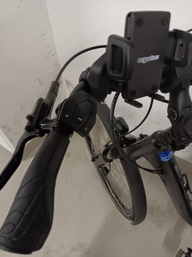 Bild 5 E-Bike Viktoria trekking
