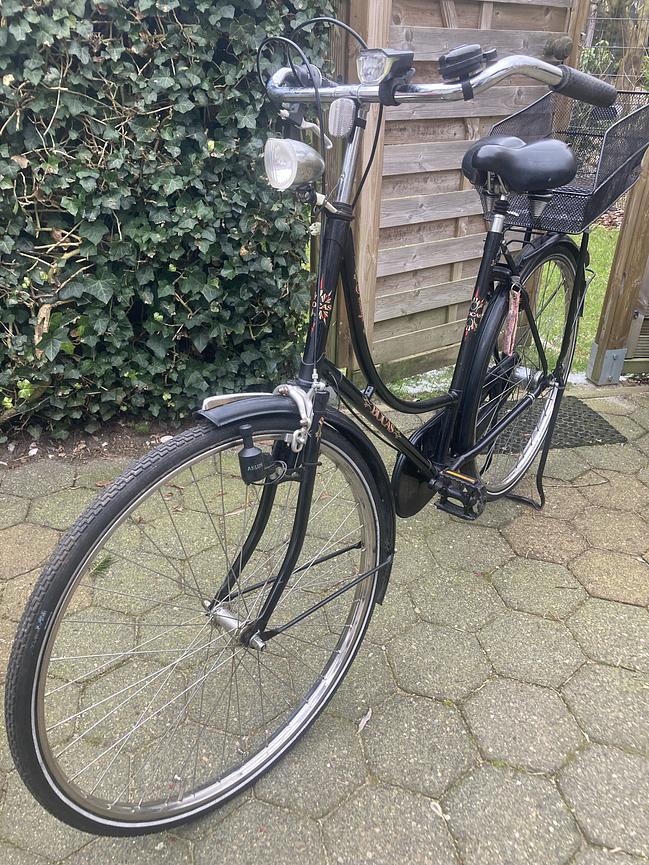 Bild 2 Hollandfahrrad