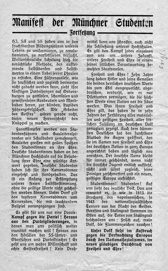 Bild 19 Weisse Rose - Dauer - Ausstellung, weltweit einzigartig und einmalig (Schenkung)