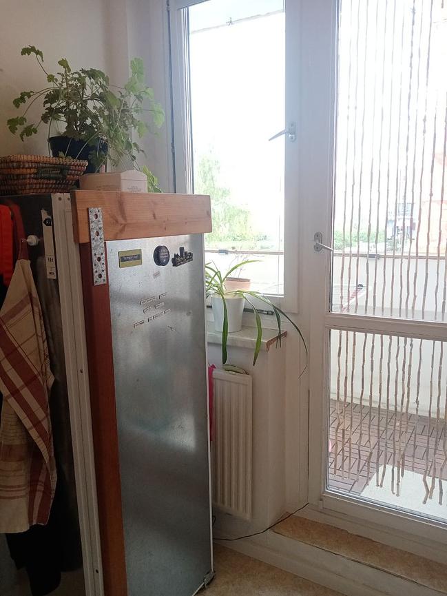 Bild 4 Zwischenmiete in gemütlicher Wohnung im Leipziger Osten - November bis Januar