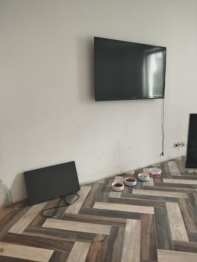 Bild 1 Fernseher für Wohn und Schlafzimmer