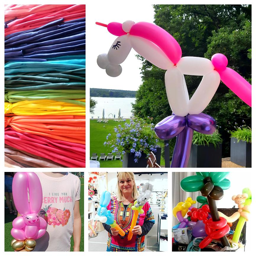 Bild 1 Ballonkünstler Ballonmodellage Ballontiere Ballon-Zauberer Ballon-Clown