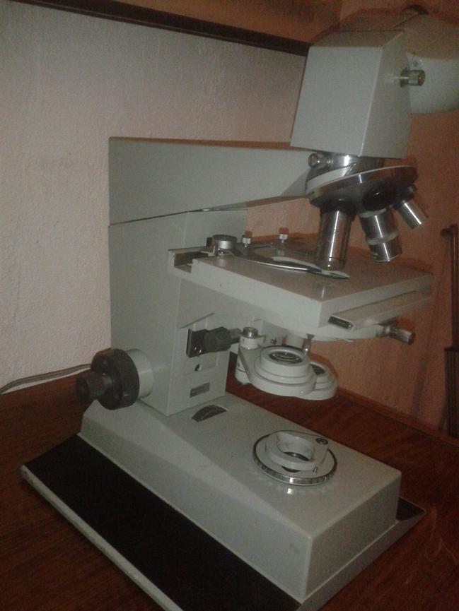 Bild 2 Mikroskop Car Zeiss Jena zu verkaufen
