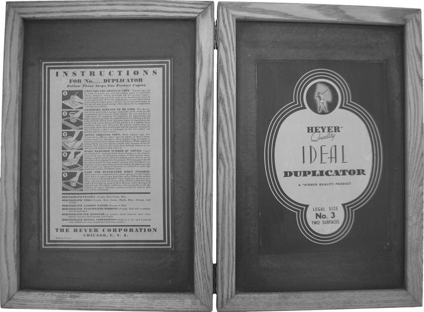 Bild 8 Weisse Rose - Dauer - Ausstellung, weltweit einzigartig und einmalig (Schenkung)