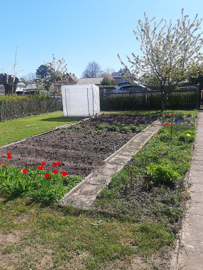 Dsb Garten In 07589 Munchenbernsdorf Zu Verkaufen