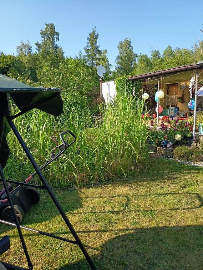 Bild 1 Selbstversorger, Kleingarten Neukieritzsch, kostenlos, gut erreichbar, Laube