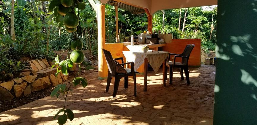 Bild 3 Haus mit Bananengarten in DomRep zu verkaufen
