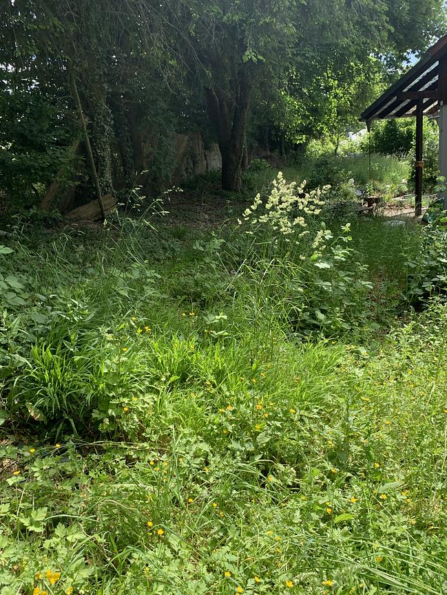Bild 1 Mitbewohner:in gesucht: Wochenend- und Ferienhaus mit Garten am Tor zum Odenwald