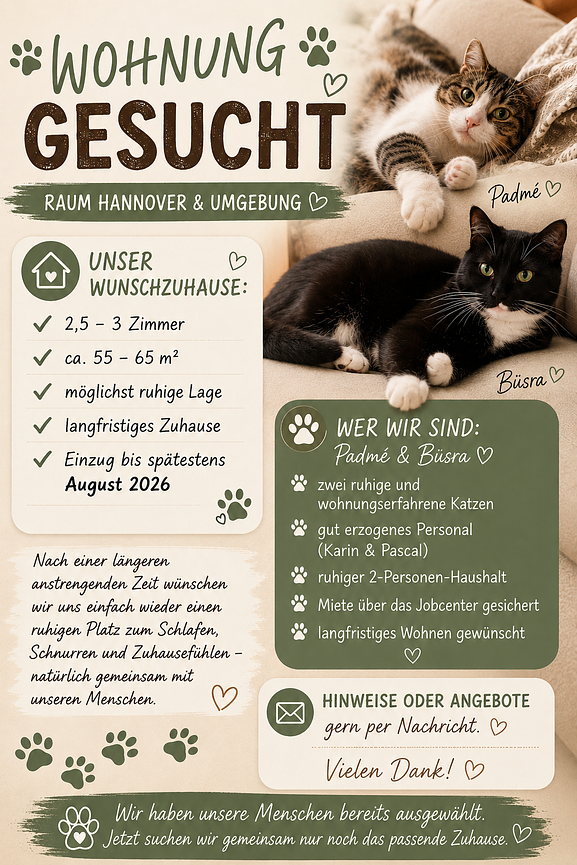 Bild 1 Wohnung gesucht