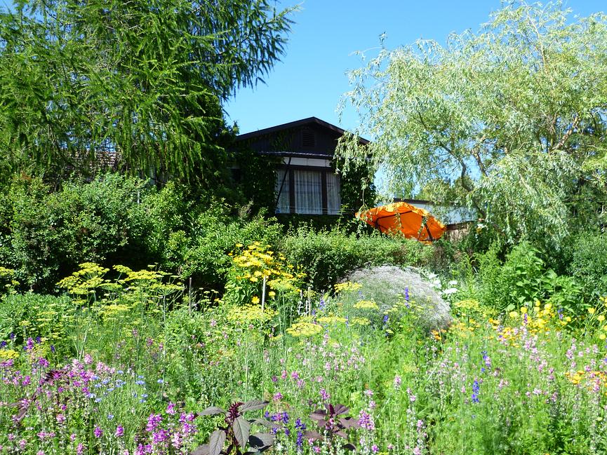 Bild 20 Urlaub Ferienhaus Bungalow Ferienwohnung in Carwitz am See Feldberger Seenplatte