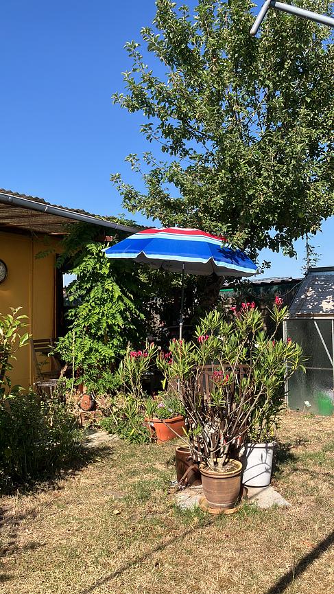Bild 7 Garten zu verschenken