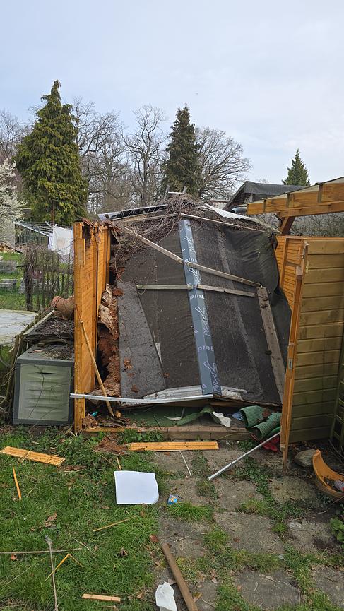 Bild 3 Entrümpelung und Haushaltsauflösungen