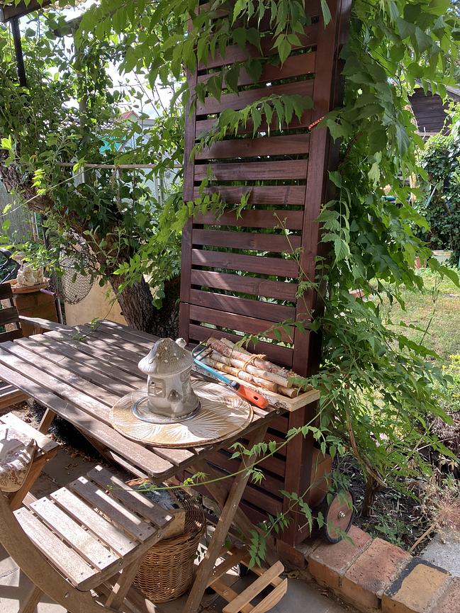 Bild 5 Garten zu verschenken